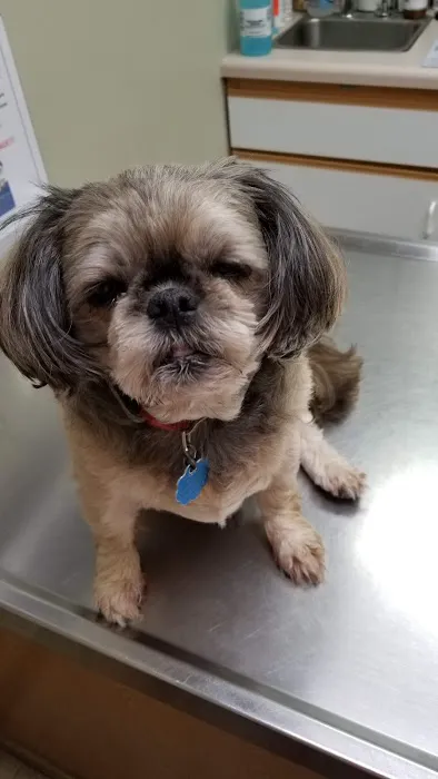 Westbrook Animal Hospital 2