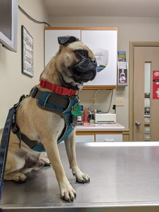 Westbrook Animal Hospital 5