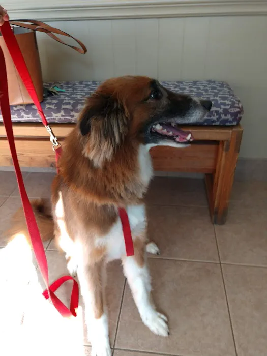 Westbrook Animal Hospital 3
