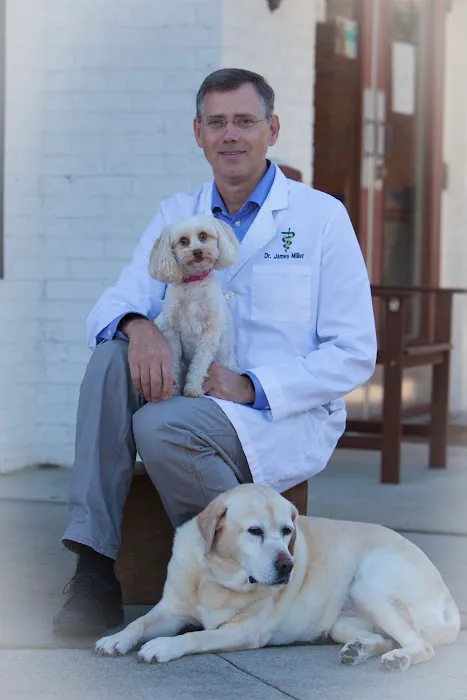 North Churton Animal Hospital 3