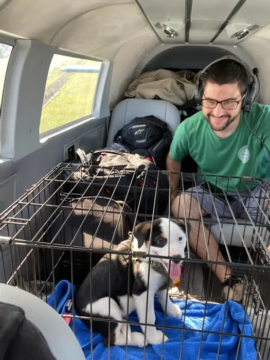 North Churton Animal Hospital 8