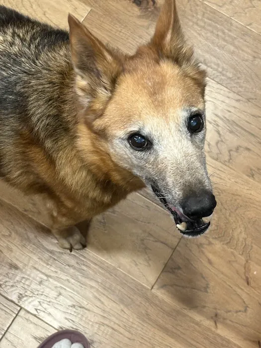 Piedmont Veterinary Clinic 6