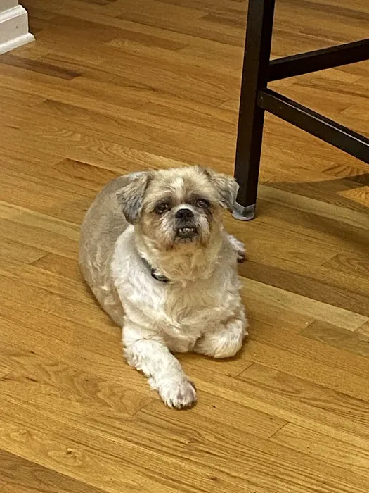 Piedmont Veterinary Clinic 3