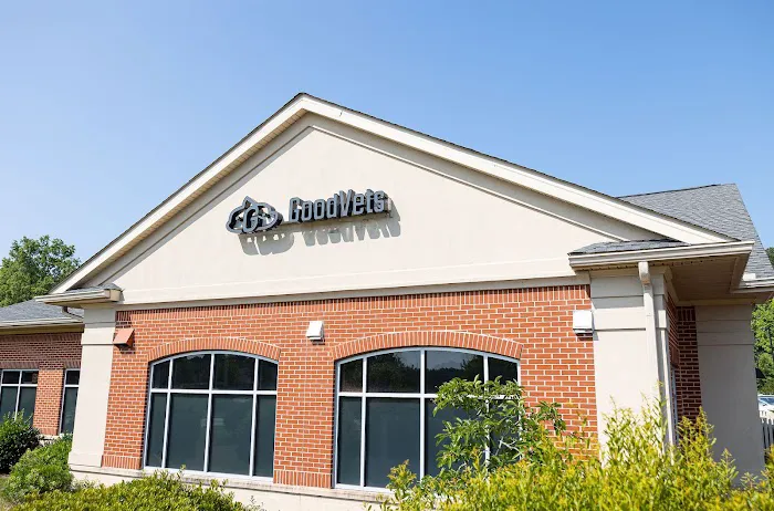 GoodVets Apex (Raleigh) 8