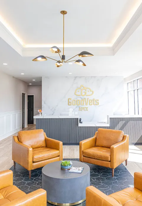 GoodVets Apex (Raleigh) 7