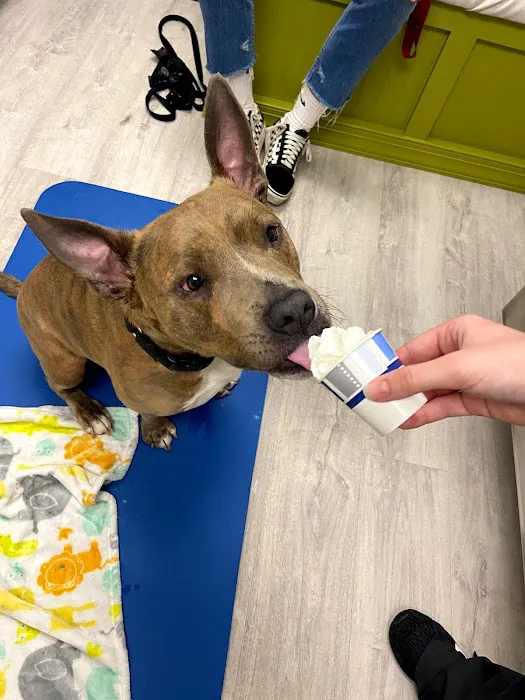 Happy Tails Veterinary Hospital 1