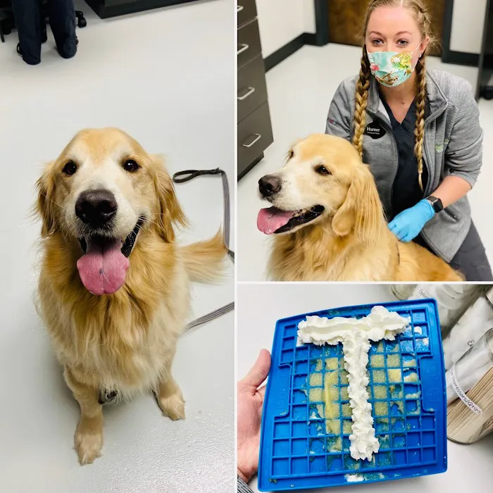 Happy Tails Veterinary Hospital 6