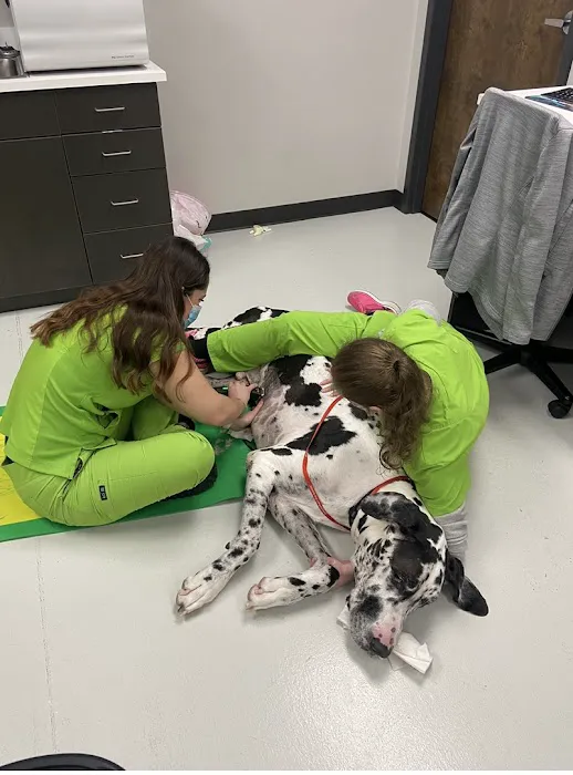 Happy Tails Veterinary Hospital 10