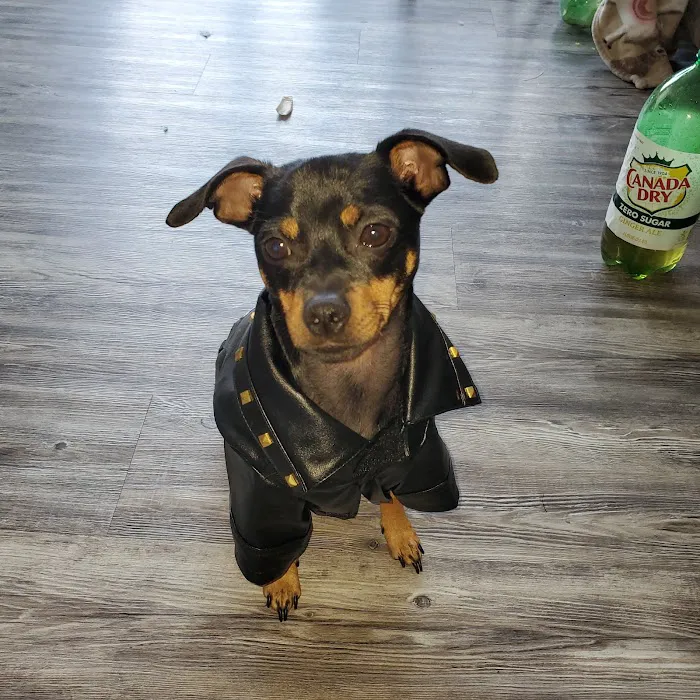 Vetco Total Care Animal Hospital 12