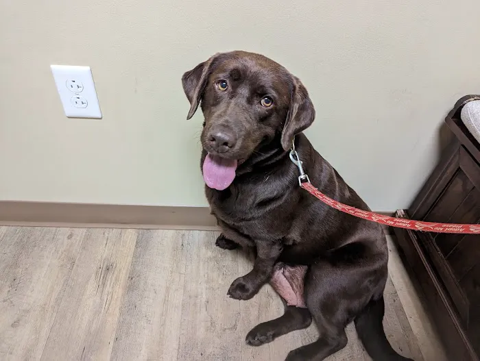 Peak City Veterinary Hospital 9