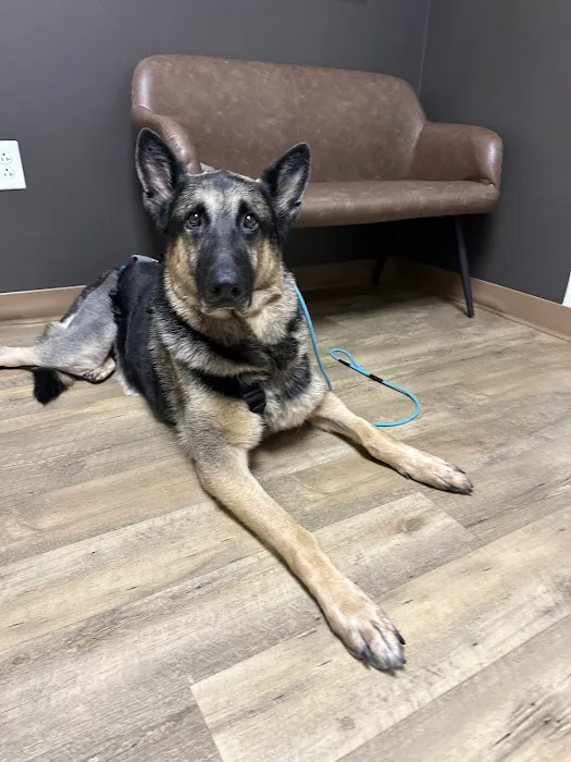 Peak City Veterinary Hospital 4