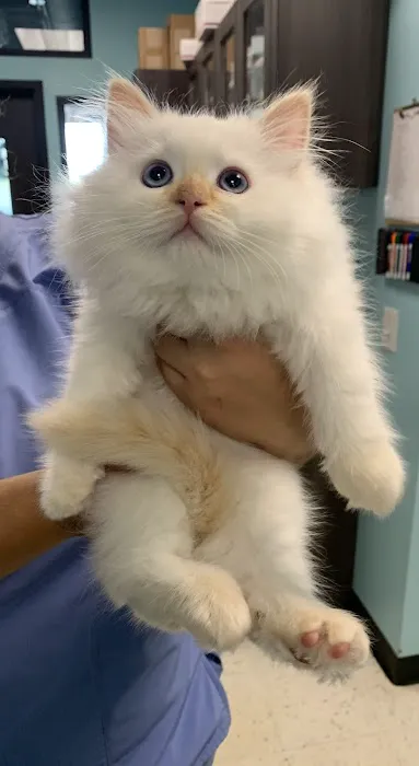 Hope Veterinary Hospital of Holly Springs 12
