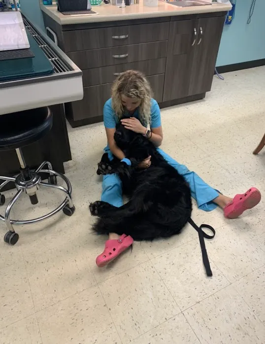 Hope Veterinary Hospital of Holly Springs 12