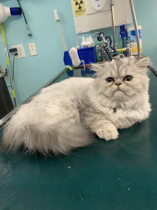 Hope Veterinary Hospital of Holly Springs 12