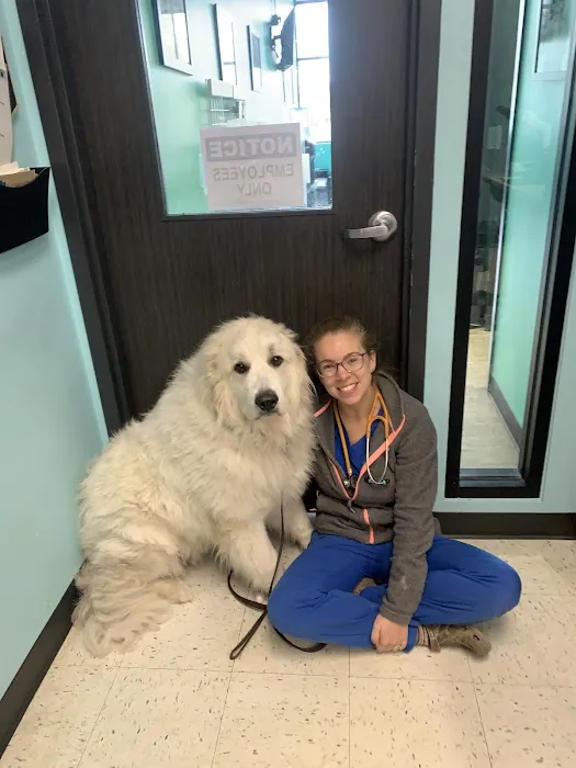 Hope Veterinary Hospital of Holly Springs 12