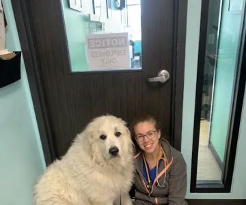 Hope Veterinary Hospital of Holly Springs