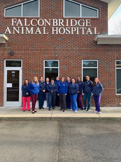 Falconbridge Animal Hospital 6