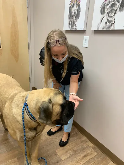Falconbridge Animal Hospital 10