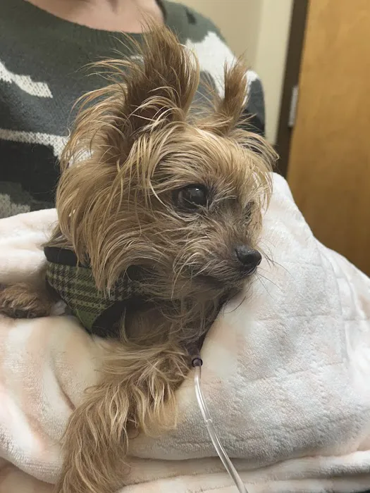 BluePearl Pet Hospital 8