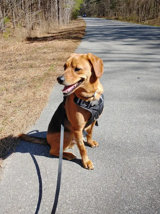 Banfield Pet Hospital 8