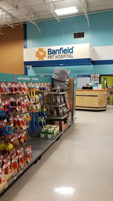 Banfield Pet Hospital 4