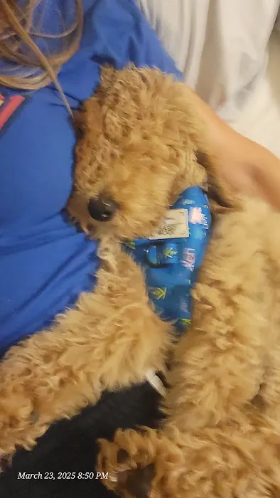 Banfield Pet Hospital 6