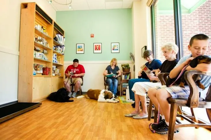All 4 Paws Animal Hospital 5