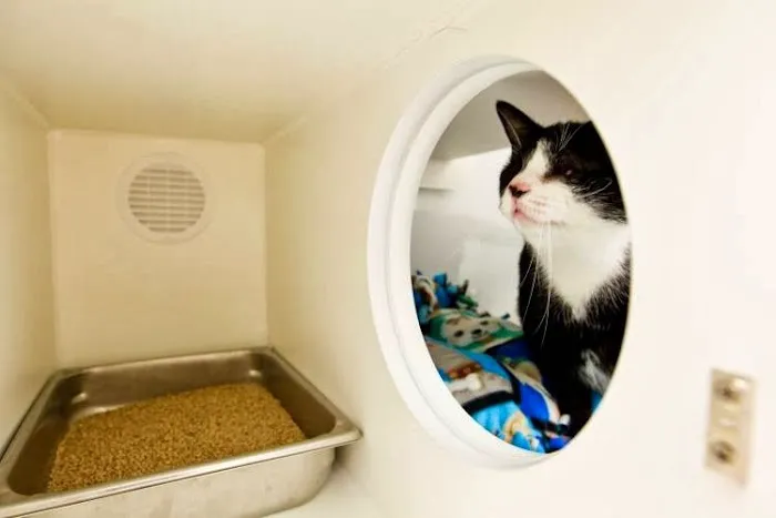 All 4 Paws Animal Hospital 10