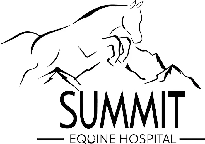 Summit Equine Hospital 4
