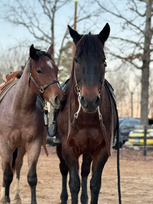 Summit Equine Hospital 3