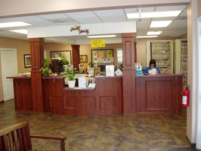 VCA Apex Animal Hospital 5