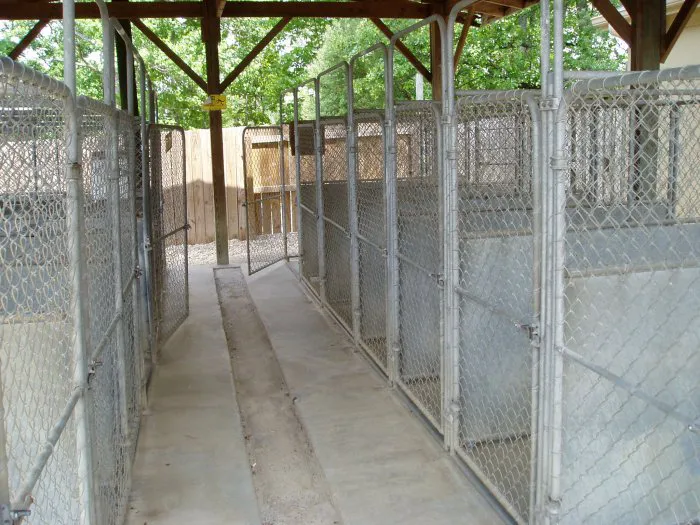 VCA Apex Animal Hospital 10