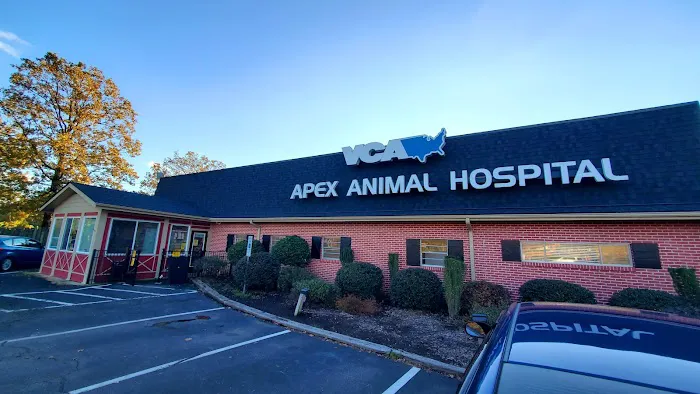 VCA Apex Animal Hospital 2