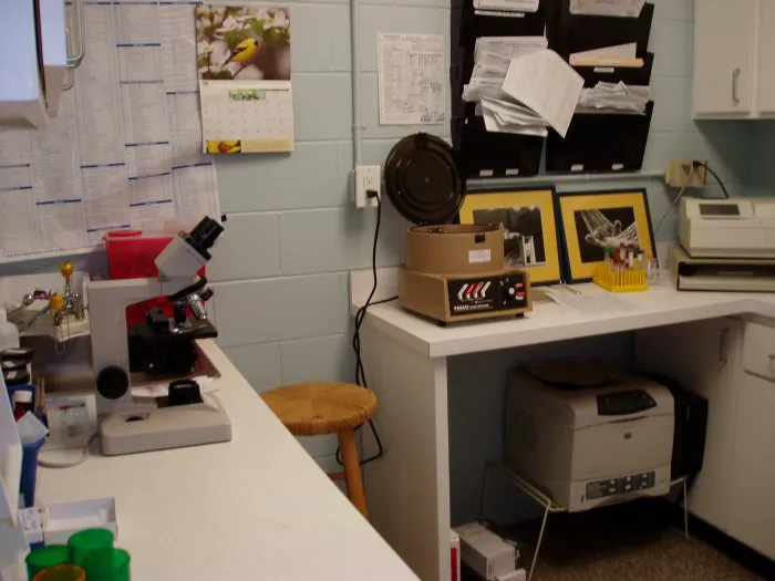 VCA Apex Animal Hospital 7