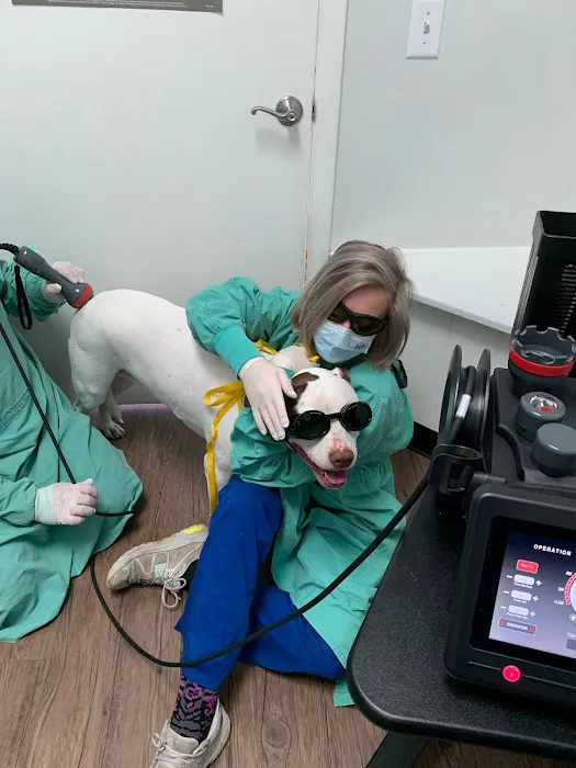 Lake Pine Animal Hospital 12
