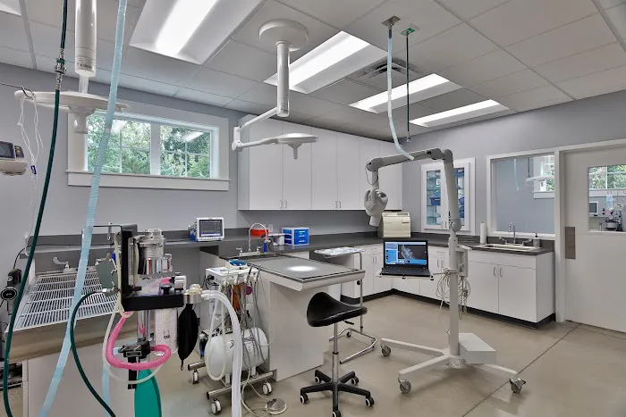 Lake Pine Animal Hospital 12