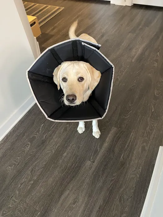 Amberly Village Veterinary Hospital 2