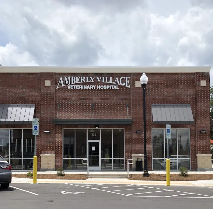 Amberly Village Veterinary Hospital 6
