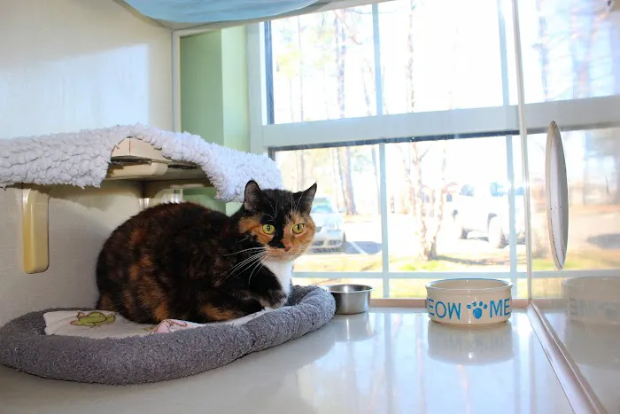Carpenter Animal Hospital and Pet Inn 5
