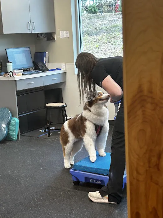 Veterinary Rehabilitation Hospital 2