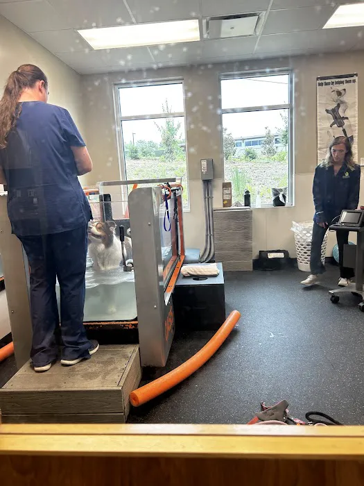 Veterinary Rehabilitation Hospital 4