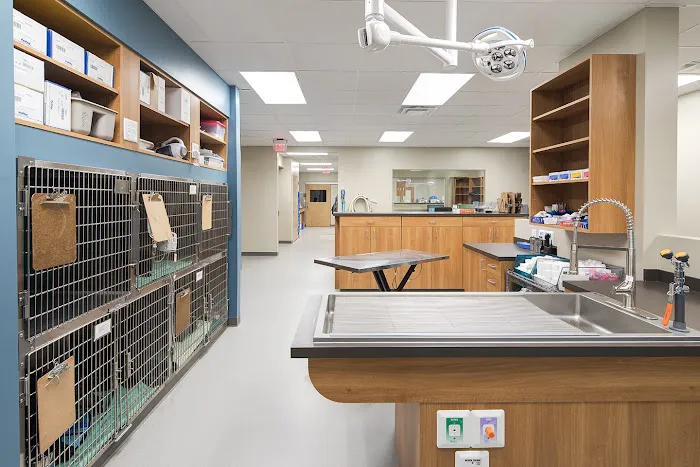 Quartet Veterinary Specialty Hospital 1