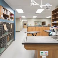 Quartet Veterinary Specialty Hospital ico