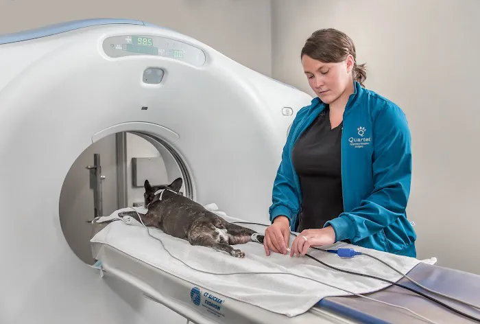 Quartet Veterinary Specialty Hospital 5