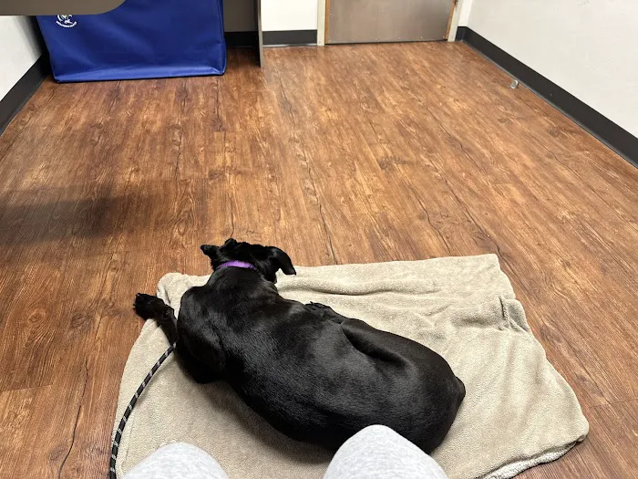 Quartet Veterinary Specialty Hospital 9