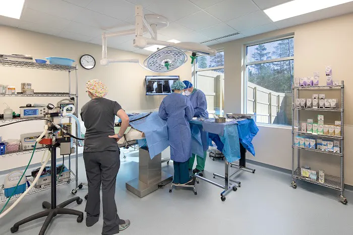 Quartet Veterinary Specialty Hospital 10