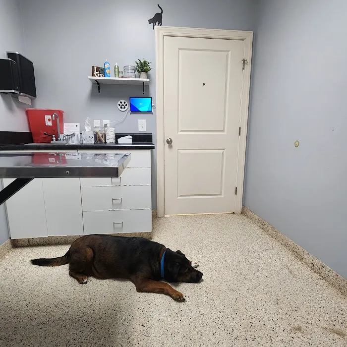Lakeside Animal Hospital 12