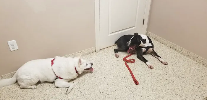 Lakeside Animal Hospital 12