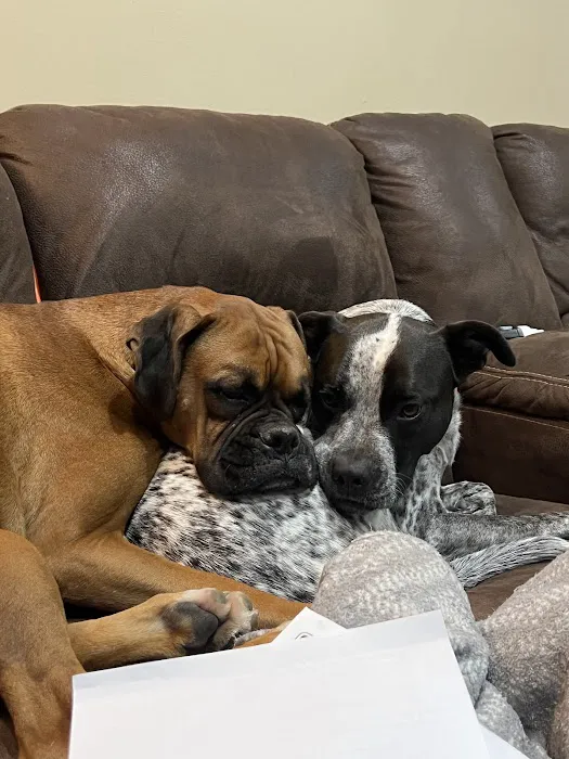 Lakeside Animal Hospital 12