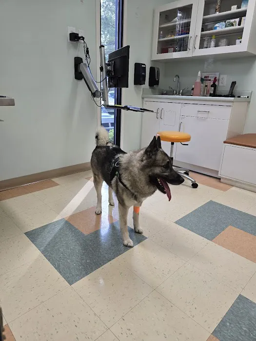 Lillington Veterinary Hospital 10